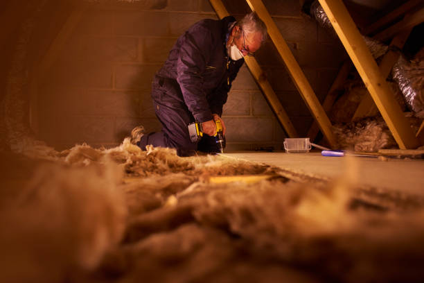 Best Residential Insulation in Miami Lakes, FL