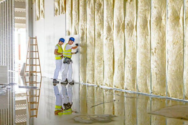 Best Types of Insulation in Miami Lakes, FL
